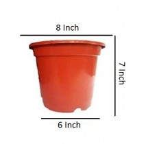 8 Inch Nursery Red Pot