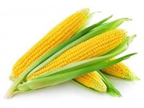 Sweet corn seeds