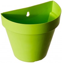6 Inch Wall Planter Assorted Color