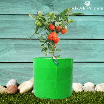  14x14 Inch 350 GSM HDPE GROW Bag | TERRACE GARDENING BAG