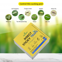 Insect Sticky Traps Insect Catcher Fruit Flies White Flies Pads Yellow And Blue Combo Set Of 10 Pcs 