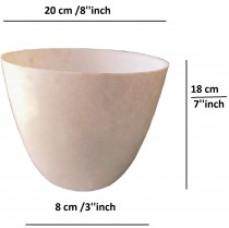 8 inch orchid round pot white  coloir