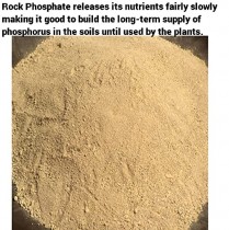 Rock Phosphate (bone meal alternative) 500 Gram