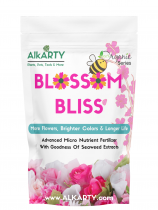 BLOSSOM BLISS 400 Grams 