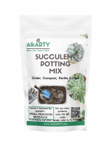 succulent potting mix 1 kg 