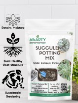 succulent potting mix 1 kg 